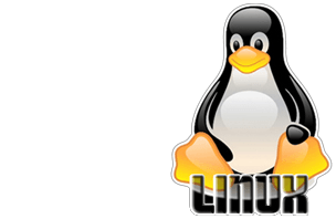 Linux cPanel Website Hosting